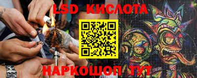 ALPHA PVP Бийск