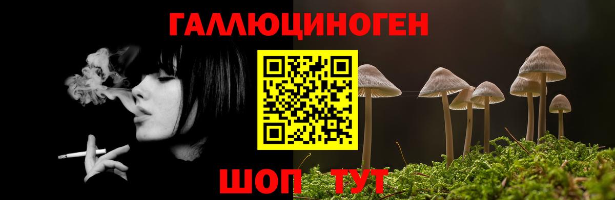 купить наркотики сайты  Псилоцибиновые грибы GOLDEN TEACHER  Вход с VPN  Волжск 
